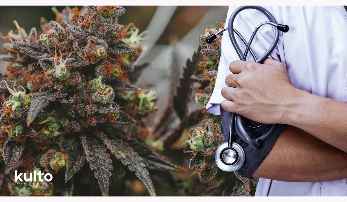 Il Ruolo della Cannabis Medica nella Salute Globale: Sfide e Opportunità